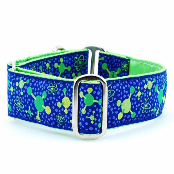 Molecular – Exclusive Martingale Dog Collar