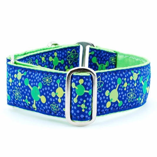 Molecular – Exclusive Buckle Martingale Dog Collar