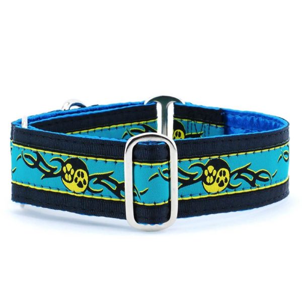 Paw Yang Teal Martingale Dog Collar