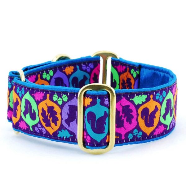 Squirrel! – Exclusive Martingale Dog Collar