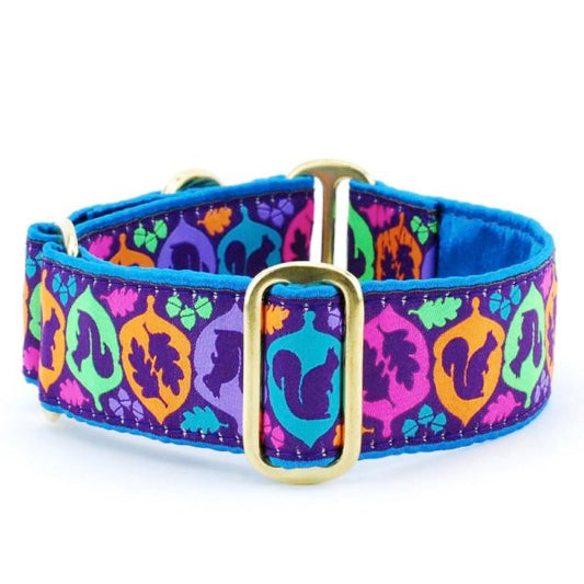 Squirrel! – Exclusive Martingale Dog Collar