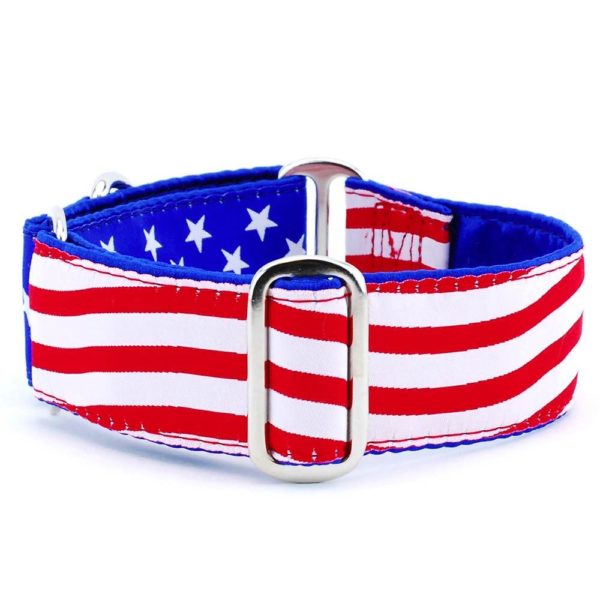 Stars and Stripes – Exclusive Buckle Martingale Dog Collar