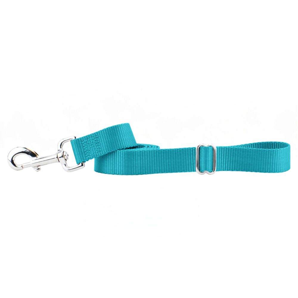 Teal Nylon Dog Leash