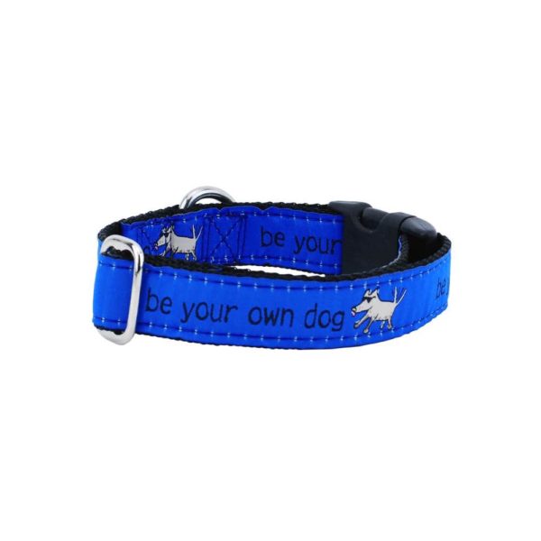 1″ Be Your Own Dog Teddy The Dog – Blue Essential Buckle Martingale Dog Collar