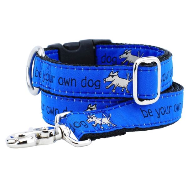 1″ Be Your Own Dog Teddy The Dog – Blue Essential Dog Collar