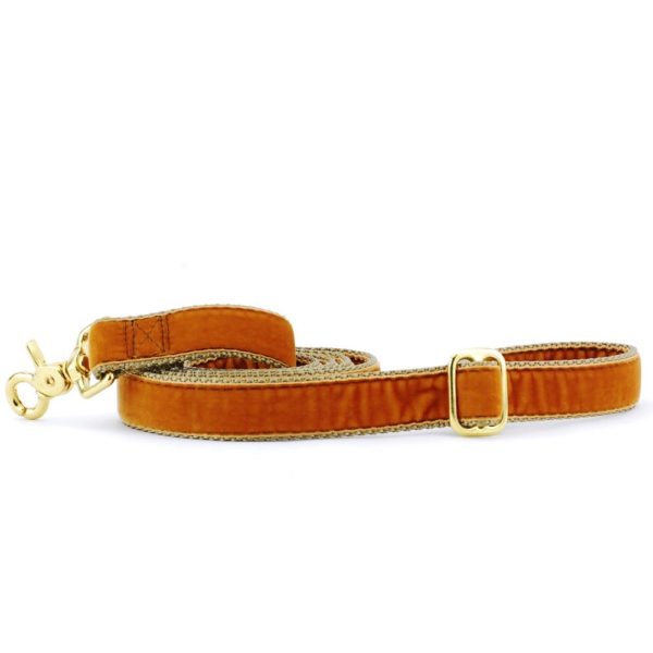 Antique Gold Velvet Dog Leash