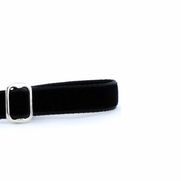 Black Velvet Dog Leash