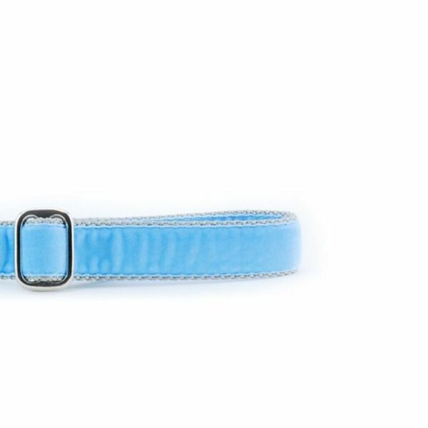 Light Blue Velvet Dog Leash