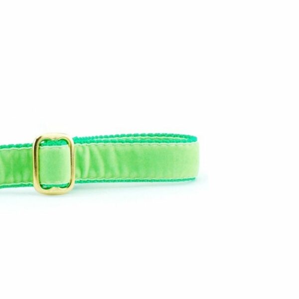 Lime Green Velvet Dog Leash