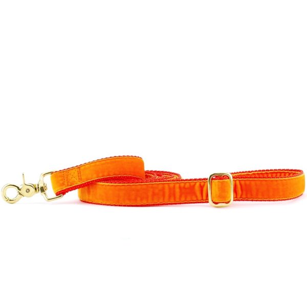 Orange Velvet Dog Leash (1″ Only)