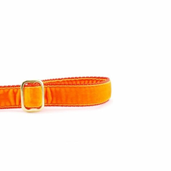 Orange Velvet Dog Leash (1″ Only)