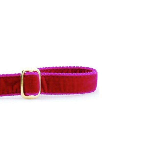 Raspberry Velvet Dog Leash