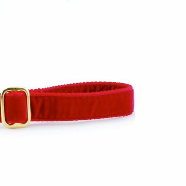 Red Velvet Dog Leash