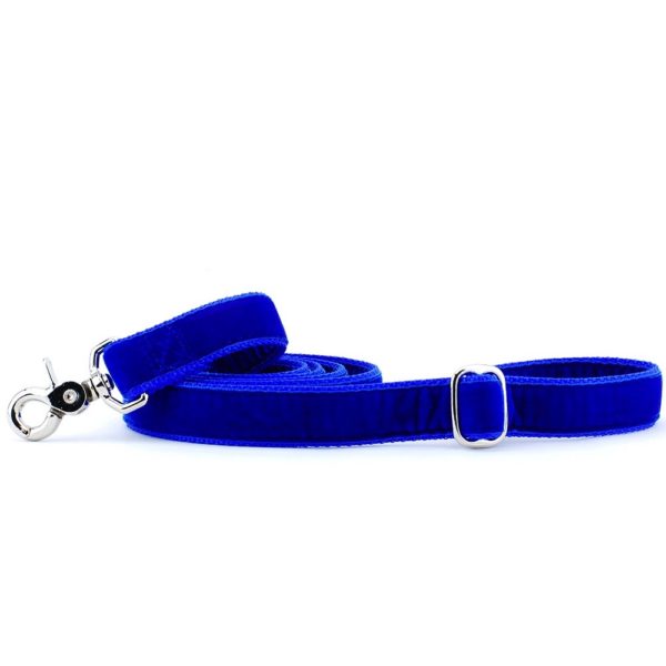 Royal Blue Velvet Dog Leash