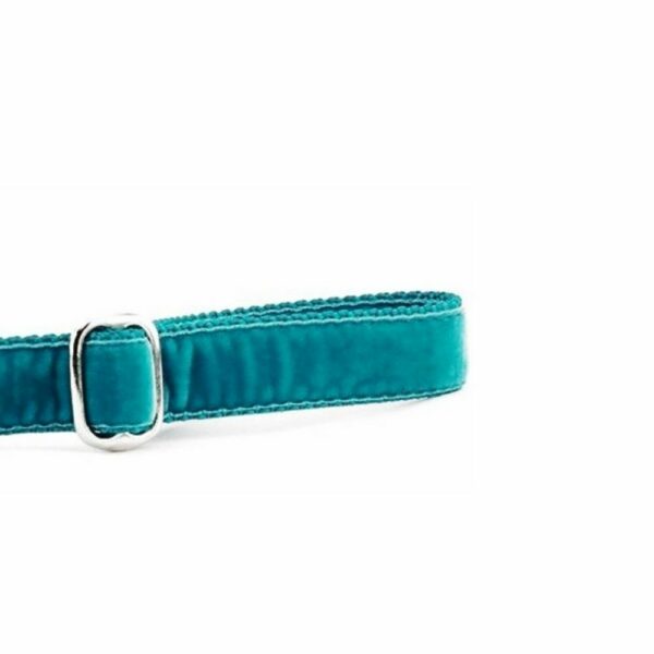 Teal Velvet Dog Leash