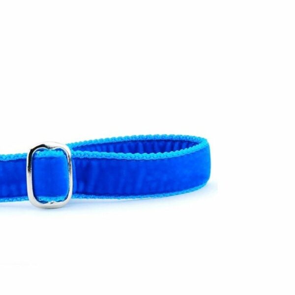 Venetian Blue Velvet Dog Leash