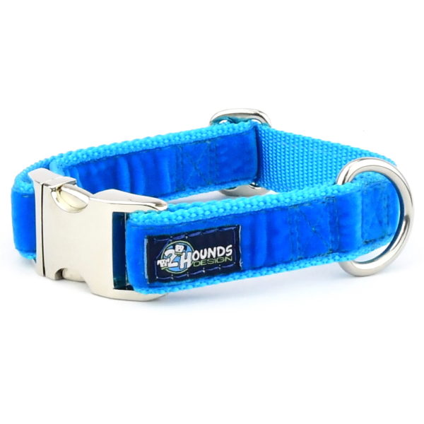 Venetian Blue Velvet Essential Dog Collar