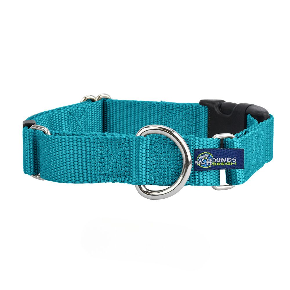 5/8″ and 1″ Teal Nylon Buckle Martingale Dog Collar