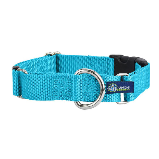 5/8″ and 1″ Turquoise Nylon Buckle Martingale Dog Collar