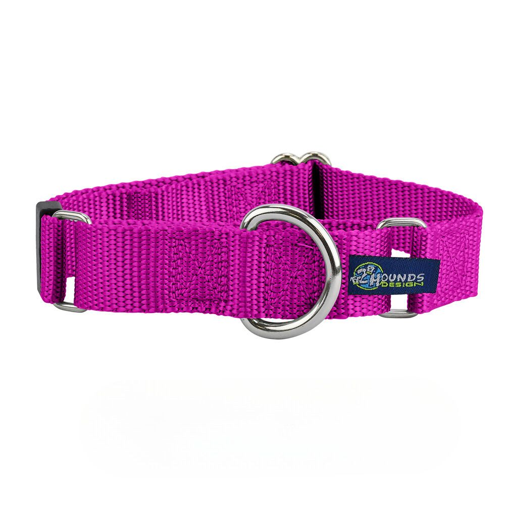 5/8″ and 1″ Raspberry Nylon Martingale Dog Collar