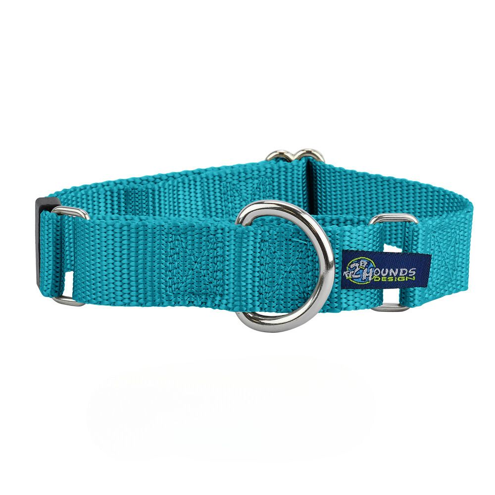 5/8″ and 1″ Teal Nylon Martingale Dog Collar