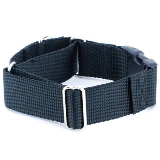 1.5″ Nylon Buckle Martingale Dog Collars (Multiple Color Options)